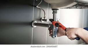 Professional Plumbing  in Warm Springs, CA